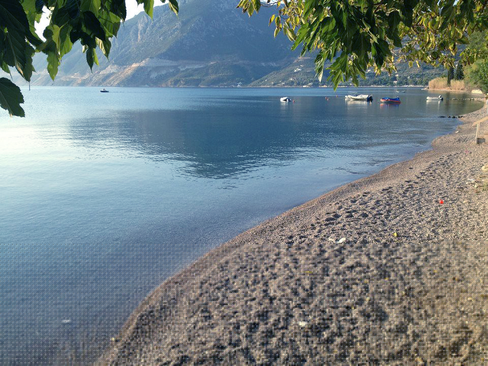 Tefl Athens