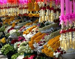 Teaching english Chiang Mai