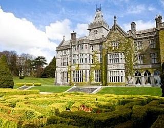 English language Limerick