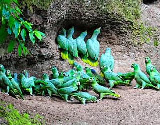 Teaching english Loja