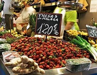 Teaching english Malaga