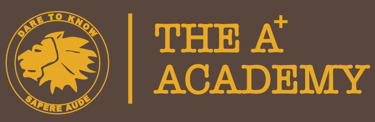 A+ Academy Huge Banner Logo
